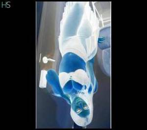 Tasha 24Yrs Old Escort West Sussex Image - 2