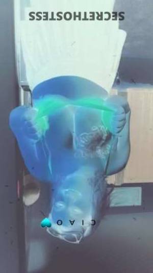 Taylormaid 28Yrs Old Escort Tri-Cities WA Image - 3