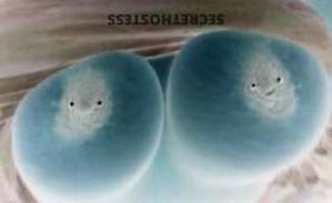 Taylovelyy 27Yrs Old Escort Joplin MO Image - 9