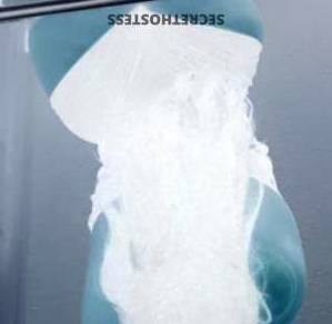 22 year old Caucasian Escort in McAllen TX McAllen Escort Stunning Brunette with 34B-24-35 Measurements