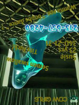 23Yrs Old Escort Oakland/East Bay Image - 4