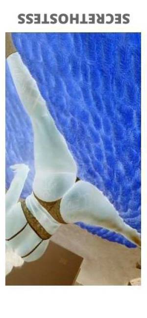24Yrs Old Escort Chicago IL Image - 1