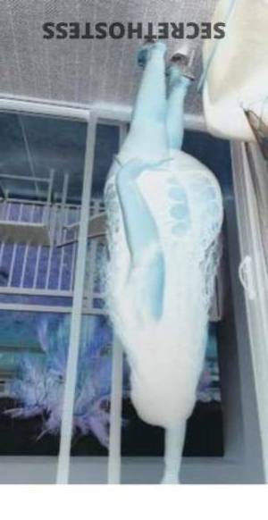 27 year old Escort in San Antonio TX Give me one SS and four 2X2 SSD A Luxurious and Voluptuous 