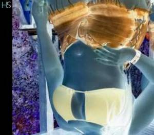 Hot and Horny Maracan Ladies - available now in Paraná