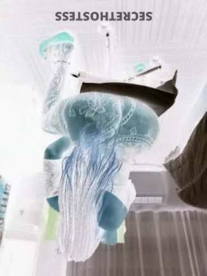 35Yrs Old Escort Chesapeake VA Image - 2
