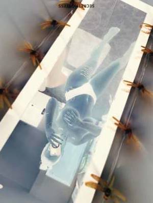 33 year old Hungarian Escort in Brooklyn NY Experience the Allure of Hungarian Hospitality with 