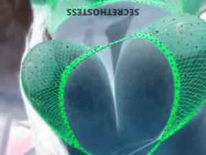 Emily 26Yrs Old Escort San Gabriel Valley CA Image - 2