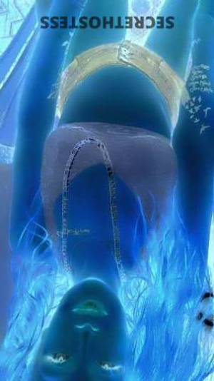 35 year old Swiss Escort in Birmingham AL The Ultimate Playmate for Mature Gentlemen in Birmingham 