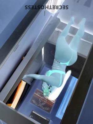 Megan 25Yrs Old Escort Bradenton FL Image - 1