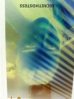 Snowbunny 40Yrs Old Escort Long Beach CA Image - 5