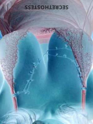 34 year old Escort in Augusta GA Southern Belle Escort and Confidante Your Enchanting to the 