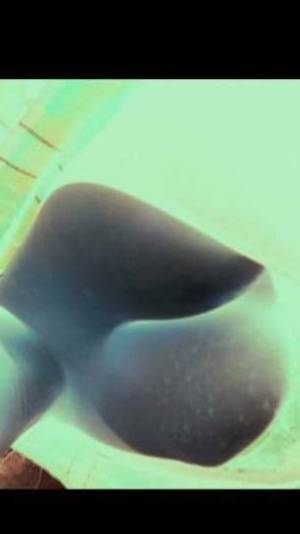 24 year old Escort in Winnipeg Discrete andUnforgettable Fun with Playful Babe Tiara 