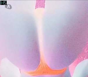 19 year old Brazilian Escort in Guapimirim Rio de Janeiro Horny Cremosinha Ready to Please You Tonight