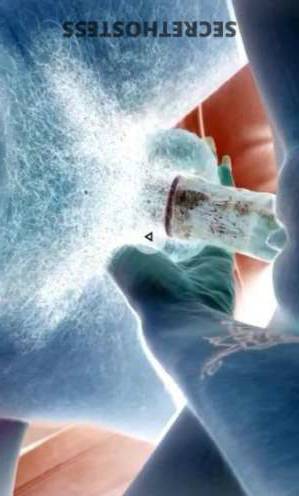 21 year old Brazilian Escort in Kansas City MO Brazilian Escort Lais Seductive Vixen with Sexy Curves, 