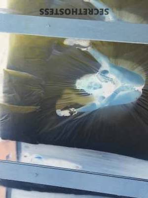 23 year old Escort in Knoxville TN Two Freaky Babes Ready to Rock Your World! Age 21 Ethnicity 