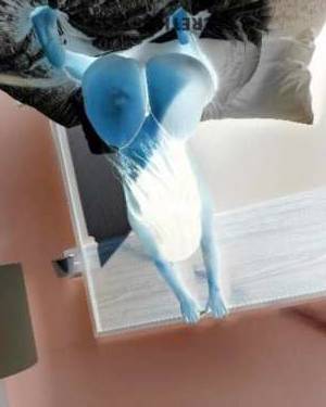 23 year old Escort in Harrisburg PA Unleash Your Flirtatious Desires with a heavenly Body! I&#