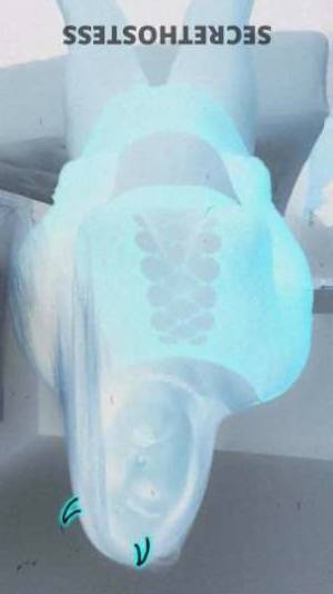 28Yrs Old Escort Tyler TX Image - 1