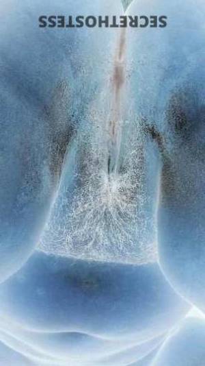 30 year old Escort in Savannah GA NSA Fun in East Hey, Babe!Fulfill Your Wildest Dreams with 5