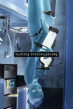 22 year old Russian Escort in Frankfurt am Main Aedida