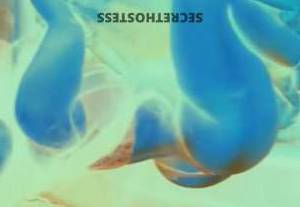 23 year old Venezuelan Escort in McAllen TX Experience Steamy Passion With the Venezuelan Vixen Your 