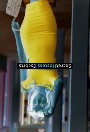 25 year old German Escort in Frankfurt am Main Brooklyn