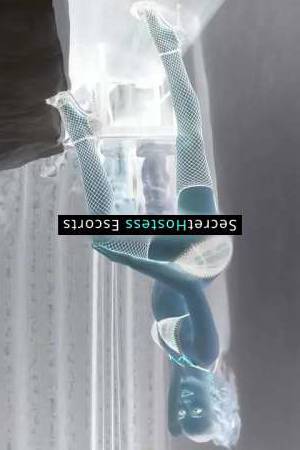 25 year old Russian Escort in Frankfurt am Main Hailey