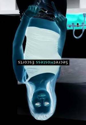 27 year old German Escort in Frankfurt am Main Helena