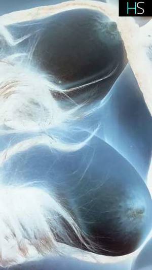Martina 28Yrs Old Escort 162CM Tall Winnipeg Image - 3