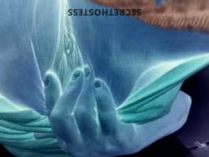 Pricelesspenny 40Yrs Old Escort Longview TX Image - 1