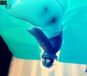 35 year old Escort in Birmingham I guarantee to make your day extraordinary! I'm Sonia, 