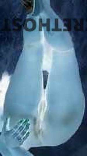 24 year old Escort in Bakersfield CA Experience Unforgettable Pleasure with Jojo, Your Thick and 