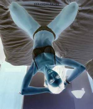 24Yrs Old Escort San Jose CA Image - 1