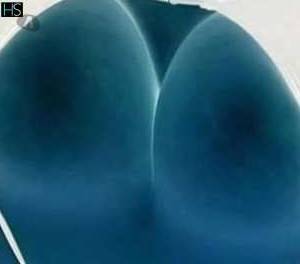 25 year old Latino Escort in Wexford South East Experience Playful Relaxation with Justille Your One-Stop 