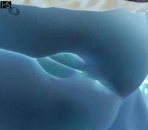 26 year old Latino Escort in Kildare East Coast and Midlands Experience Unforgettable Pleasure with Marielle, Your 