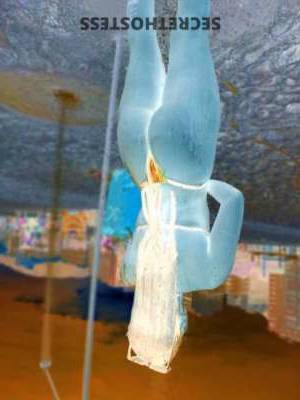 27 year old Latino Escort in Bradenton FL llama para encontrarlo PAPI! ven y te muestro lo