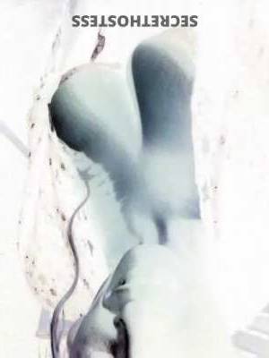 EliteCompanionsNiagara 19Yrs Old Escort Niagara Image - 9