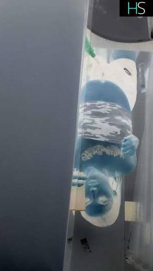 Escort 177CM Tall Winnipeg Image - 3