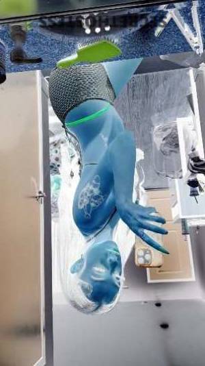 21 year old Escort in Los Angeles CA Captivating Playmate for Sensational Adventures - Slender 