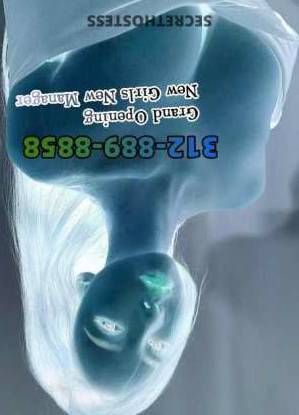 25 year old Escort in Chicago IL BBBJ Where Your Night or Day Will Simply unforgettable with 