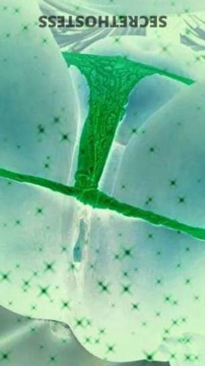 Jaazi 34Yrs Old Escort Daytona FL Image - 1