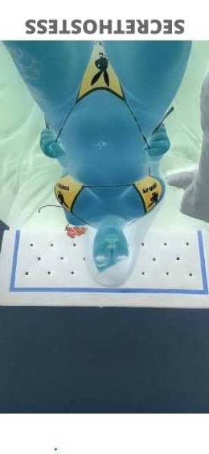 22 year old Brazilian Escort in San Fernando Valley CA Discover Exotic Beauty Brazilian Armenian Bombshell Lilly 