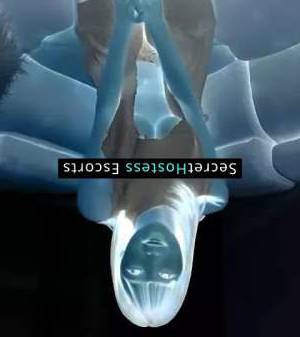 Lina Teresa 23Yrs Old Escort Novato CA Image - 4