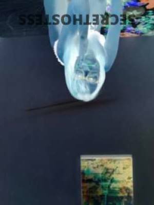 Monica 33Yrs Old Escort Gosford Image - 4