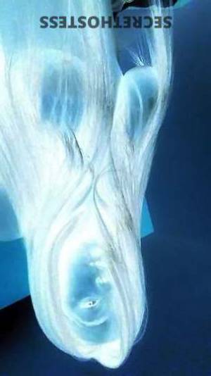 25 year old Escort in Lancaster CA ExperienceSilky Pleasure The Radd EXOTIC FUCK KING to make 