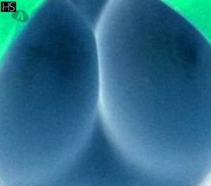 25 year old Latino Escort in Carlow South East Experience Euphoria The Ultimate intoxicating Elixir, Nora, 