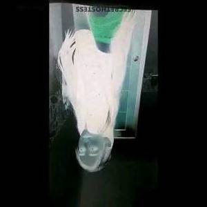 22 year old Asian Escort in Angeles City Secret Delights of Ts Samantha Kim Sultry, Sassy, and oh so 