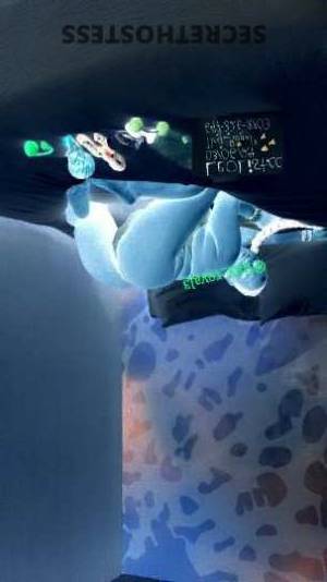 Tiny_royal3 23Yrs Old Escort Oshawa Image - 1