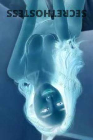 Vivian 26Yrs Old Escort Devonport Image - 1