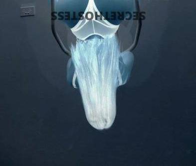 Launces 25Yrs Old Escort Size 8 Launceston Image - 0