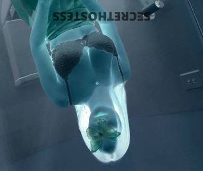 Launces 25Yrs Old Escort Size 8 Launceston Image - 1